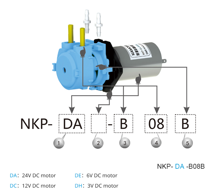 2026 nieuwe NKP 6V 12V 24V DC  - Nutrition & Fitness Hub recensie en prijs