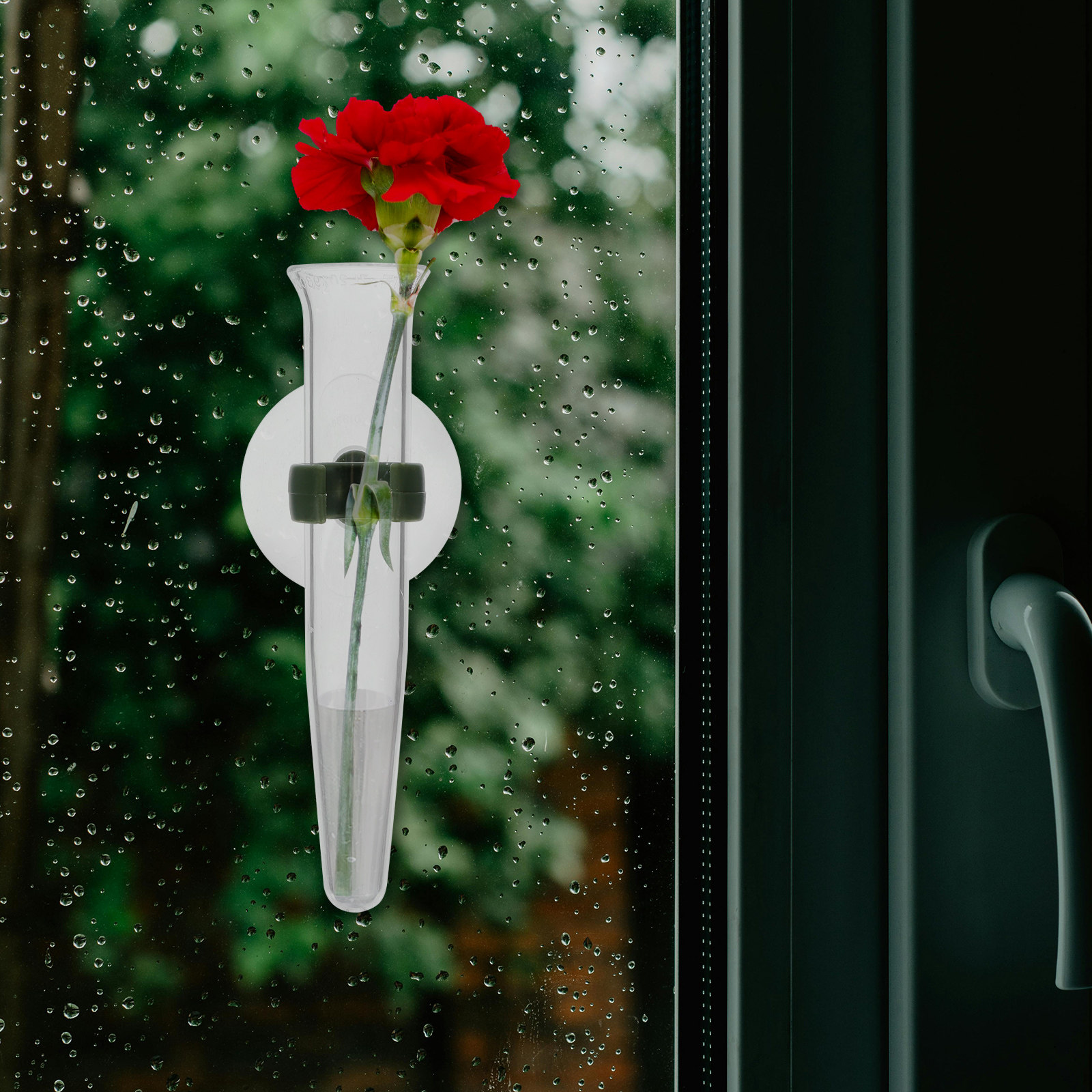 8 stuks bloemenslang opberg si - Nutrition & Fitness Hub recensie en prijs